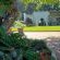 Lodge Azure - 240854