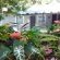 Lodge Azure - 240876