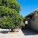 Magnolia House and Gardens - 240923