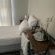 Magnolia House and Gardens - 240941