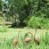 Hillside Farm - 241192