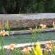 Hillside Farm - 241193