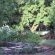 Hillside Farm - 241210