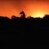 Sundowner Giraffe