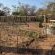 LOWES_VeggieGarden