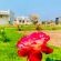 Alldays Country Lodge - 241597