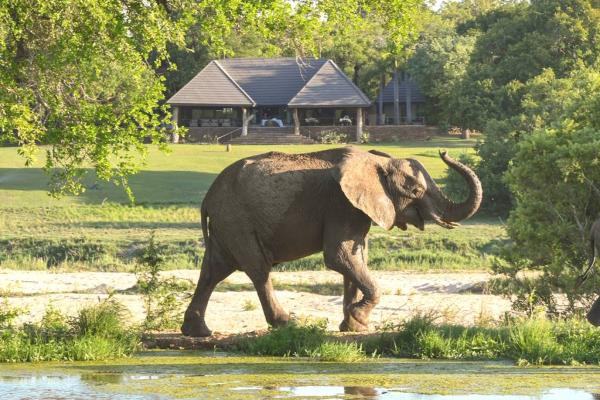 Inyati Game Lodge