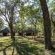 Ilanga Lodge - 242053