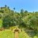 Devonport House - Constantia - 242185