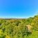 Devonport House - Constantia - 242187