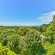 Devonport House - Constantia - 242208
