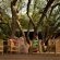 Kamala Karoo Sanctuary - 242254