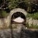 Kamala Karoo Sanctuary - 242256