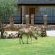 Etotongwe Lodge