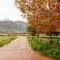 Basse Provence - 242392