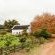 Basse Provence - 242401