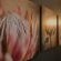 Potch Manor Guest House - 242684