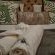 Potch Manor Guest House - 242731