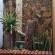 Villa Contessa - 242938