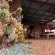 Cedarwood Guesthouse - 243050