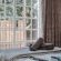 The Tier Guest Suites - 243078