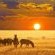 Otavi Vineyards Self-catering & Camping - 243148