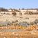 Otavi Vineyards Self-catering & Camping - 243149