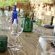 Otavi Vineyards Self-catering & Camping - 243151
