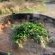 Otavi Vineyards Self-catering & Camping - 243157