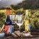 Otavi Vineyards Self-catering & Camping - 243159
