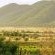 Otavi Vineyards Self-catering & Camping - 243164