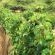 Otavi Vineyards Self-catering & Camping - 243168