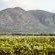 Otavi Vineyards Self-catering & Camping - 243171