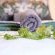 Otavi Vineyards Self-catering & Camping - 243200