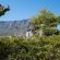 Tamboerskloof Luxury Apartments - 243236