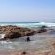 Pumula Surf Camp - 243397
