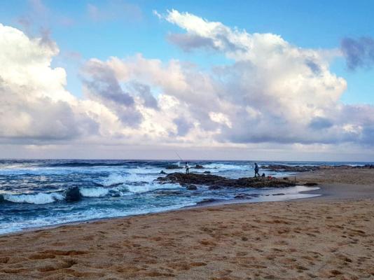 Pumula Surf Camp - 243399