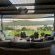 Plumbago Guest House - 243586
