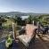 Plumbago Guest House - 243604