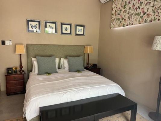 Plumbago Guest House - 243615