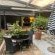 Plumbago Guest House - 243623