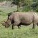 Amazulu Lodge - 243633