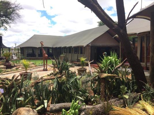 Tau Game Lodge - 243678