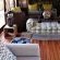 Tau Game Lodge - 243679