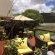 Tau Game Lodge - 243688