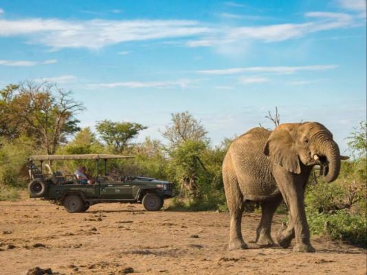 Tau Game Lodge - 243692