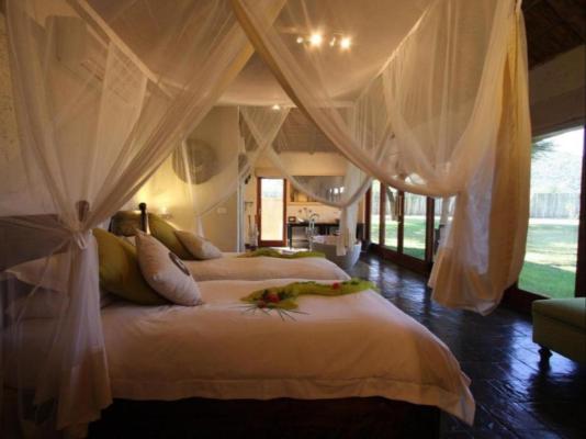 Tau Game Lodge - 243705