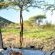 Tau Game Lodge - 243712