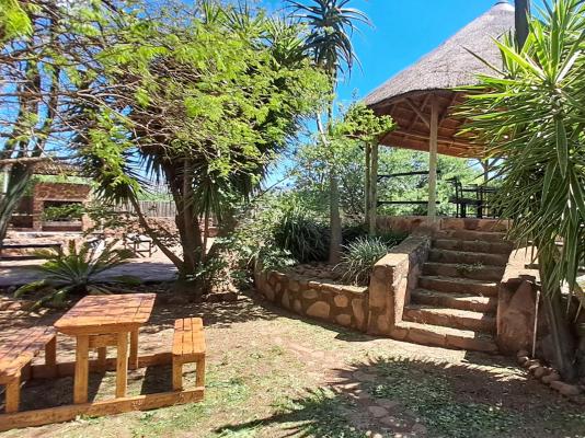 Buck Hill Bush Lodge - 244033