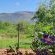 Buck Hill Bush Lodge - 244036